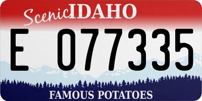 ID license plate E077335