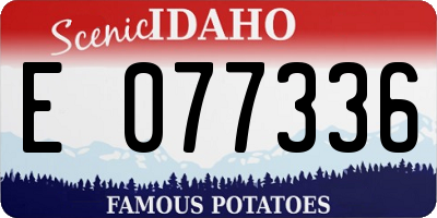 ID license plate E077336