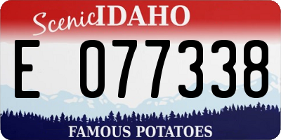 ID license plate E077338