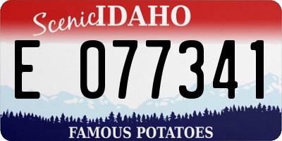 ID license plate E077341