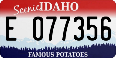 ID license plate E077356