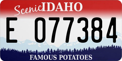 ID license plate E077384