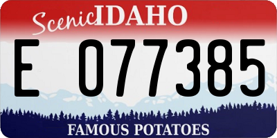 ID license plate E077385