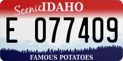ID license plate E077409
