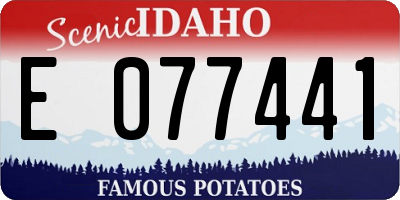 ID license plate E077441