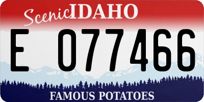 ID license plate E077466