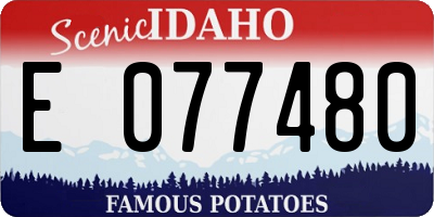 ID license plate E077480