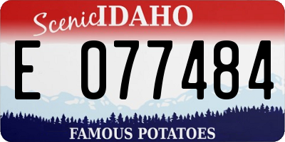 ID license plate E077484