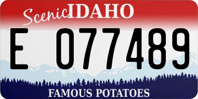 ID license plate E077489