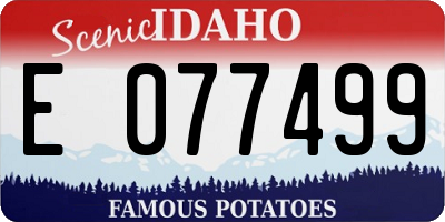 ID license plate E077499