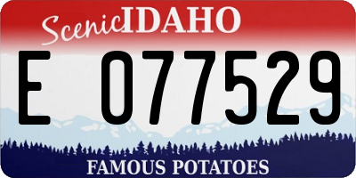 ID license plate E077529