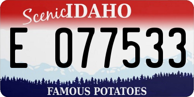 ID license plate E077533