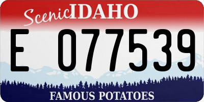 ID license plate E077539