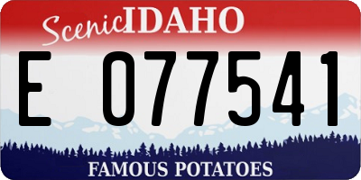 ID license plate E077541