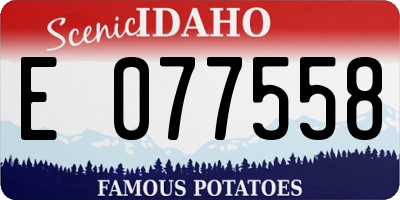 ID license plate E077558