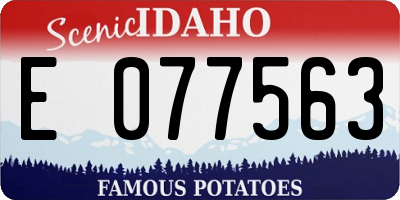 ID license plate E077563