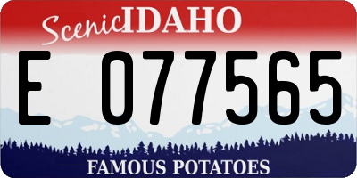 ID license plate E077565