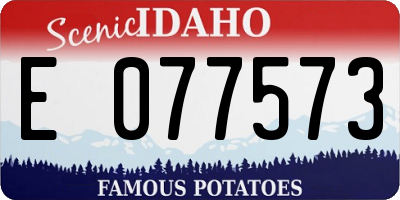 ID license plate E077573