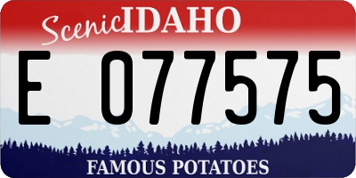 ID license plate E077575
