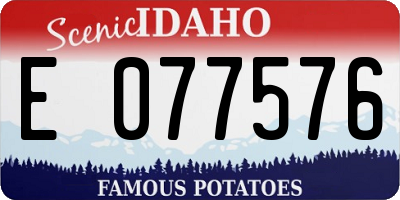 ID license plate E077576