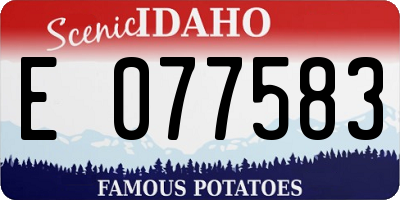 ID license plate E077583
