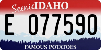 ID license plate E077590