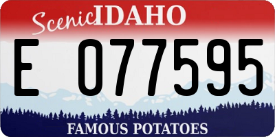 ID license plate E077595