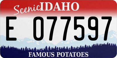 ID license plate E077597