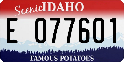 ID license plate E077601