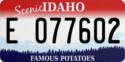 ID license plate E077602