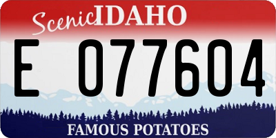 ID license plate E077604