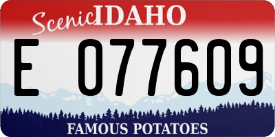 ID license plate E077609