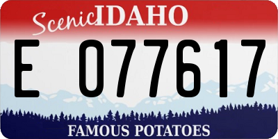 ID license plate E077617