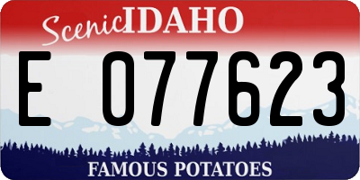 ID license plate E077623