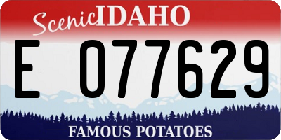 ID license plate E077629