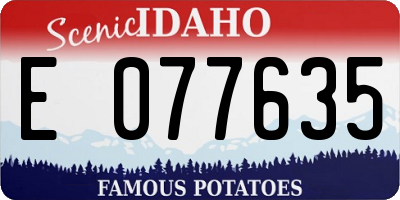 ID license plate E077635