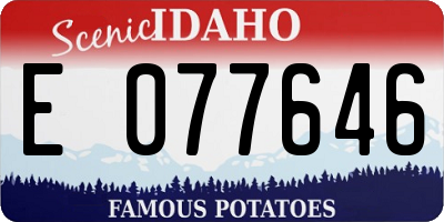 ID license plate E077646