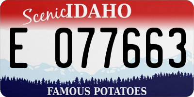 ID license plate E077663