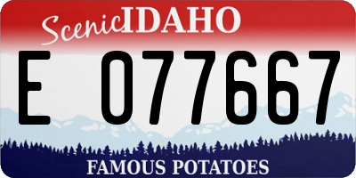 ID license plate E077667