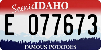 ID license plate E077673