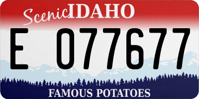 ID license plate E077677