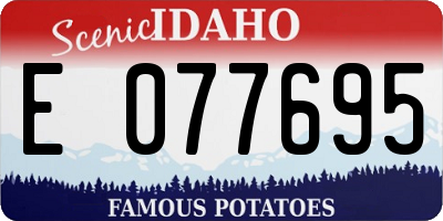 ID license plate E077695
