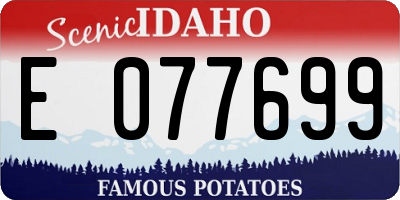 ID license plate E077699