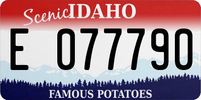 ID license plate E077790