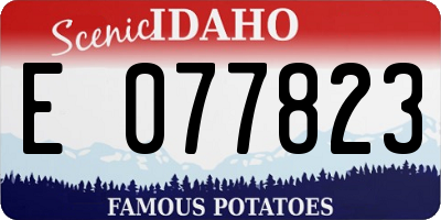 ID license plate E077823