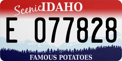 ID license plate E077828