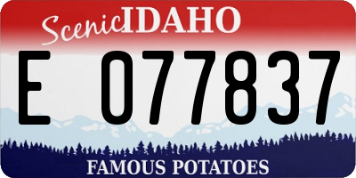 ID license plate E077837