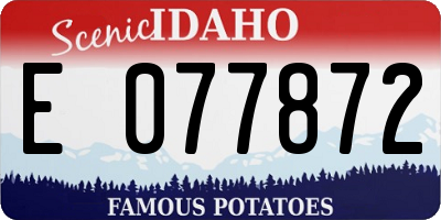 ID license plate E077872