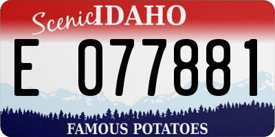 ID license plate E077881