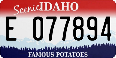 ID license plate E077894